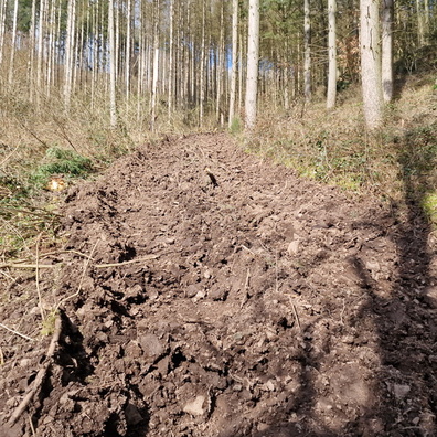 Dirty track near Lellingen