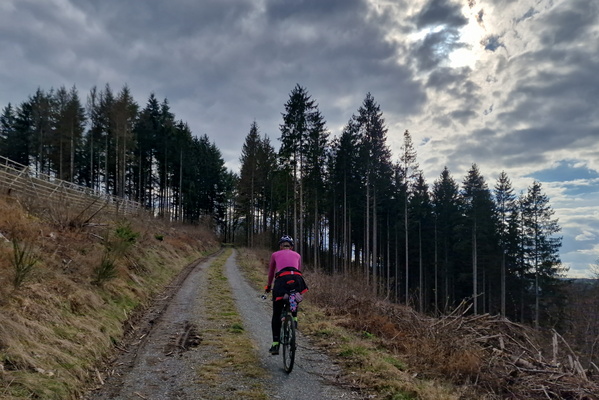 Track between Lellingen and Consthum