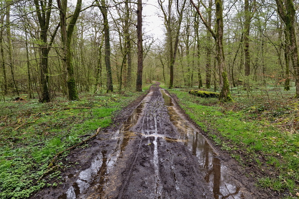 Dirty track