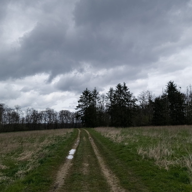 20240327_154240.jpg