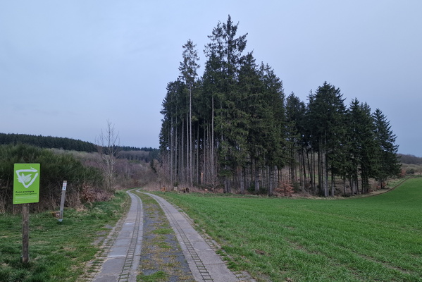 Nature reserve near Weiswampach