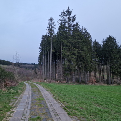 20240326_183626.jpg