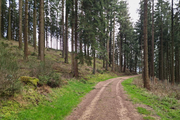 Eifel track near Hallert