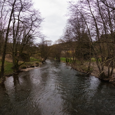 20240326_154335.jpg