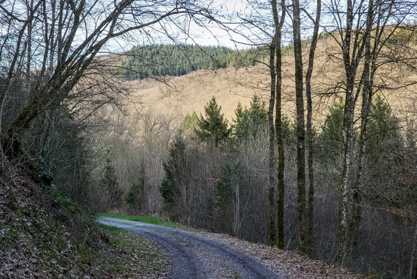 Track near Erpeldange
