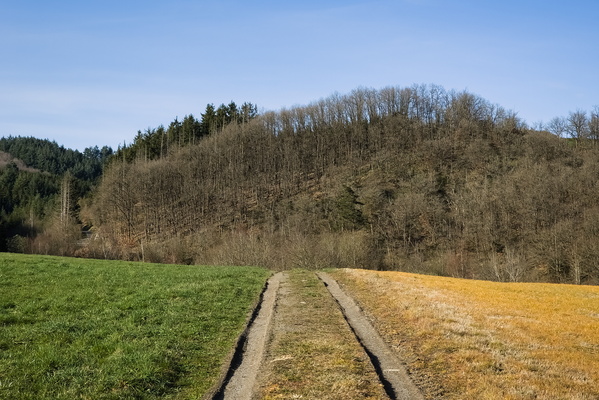 Track near Noertrange