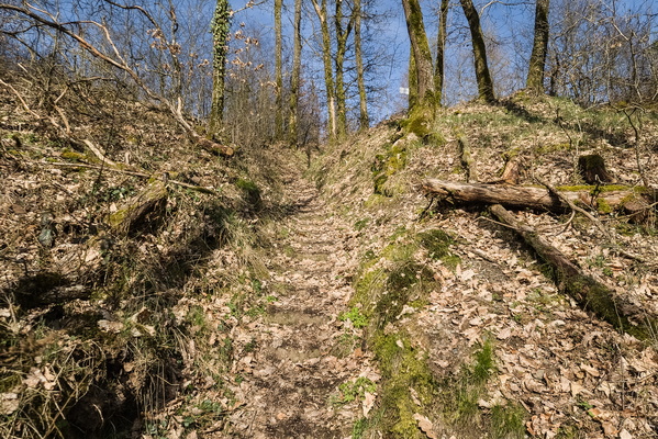 Steps