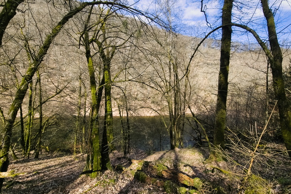 Around the lake