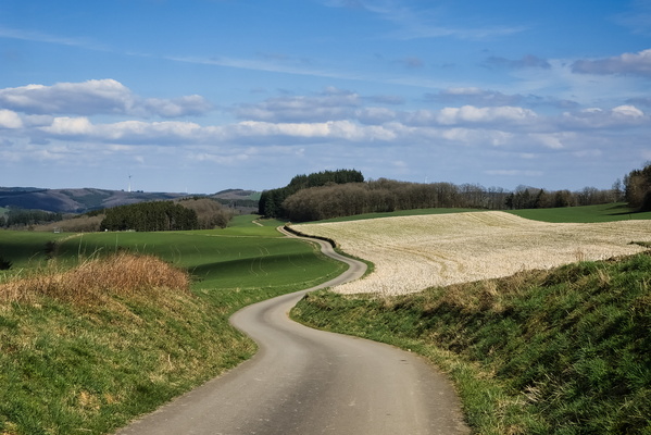 Curvy way near Baschleiden