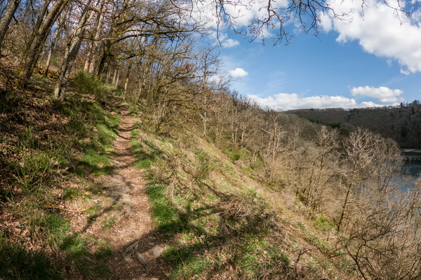 Trail along the lake