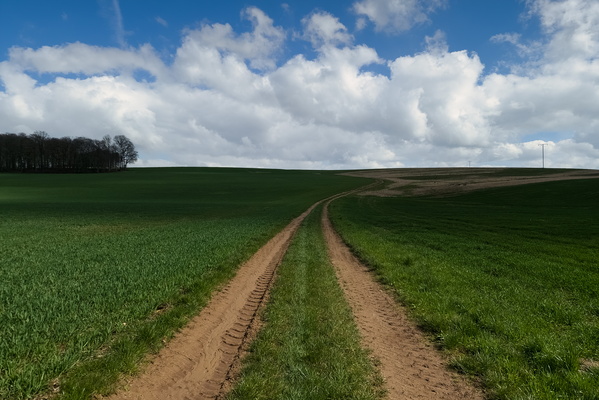 Track near Iewerlengermillen