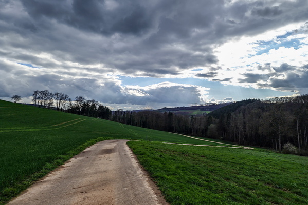 Paved track near Longsdorf