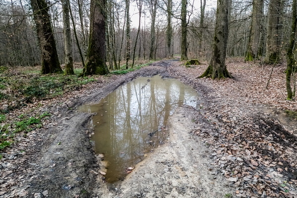 Big puddle