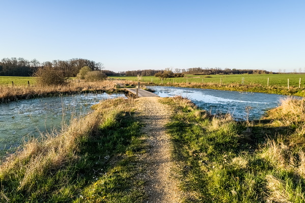 Path and pond in WIndhof