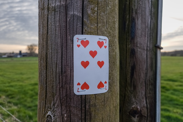 Card on pole