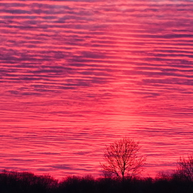 20240321_190129.jpg