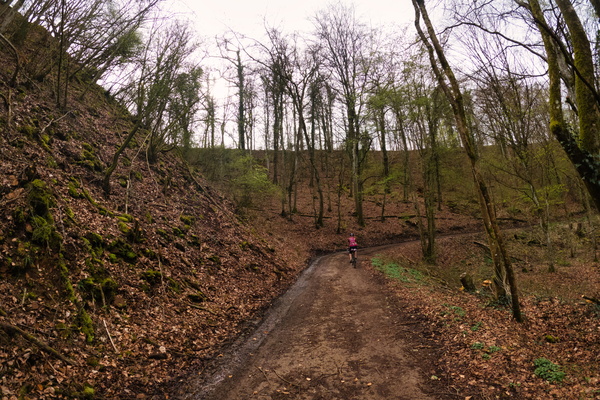 Track near Belvaux