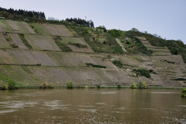 Moselle river near Mehring