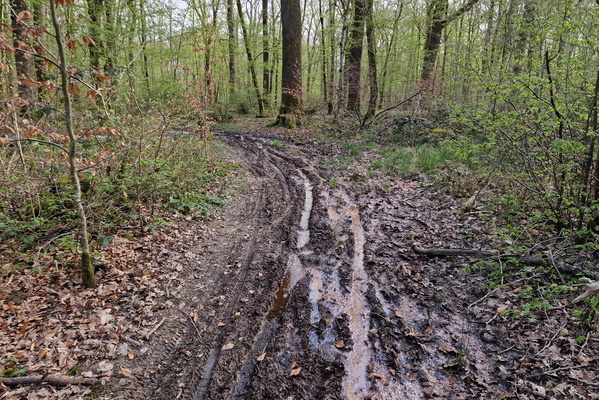 Muddy track