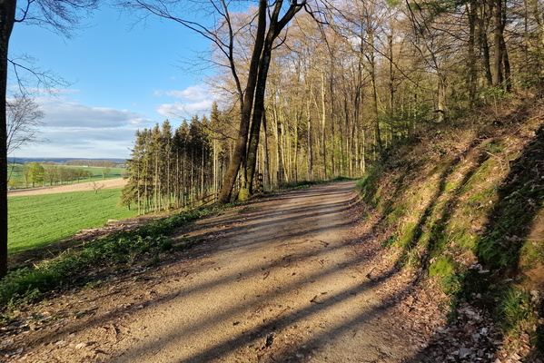 New bike route between Saeul and Tuntange