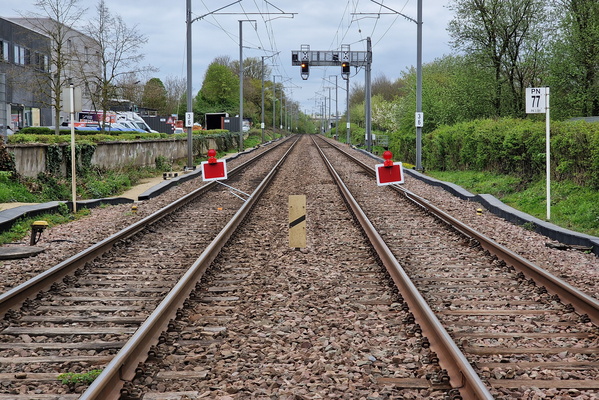 No trains