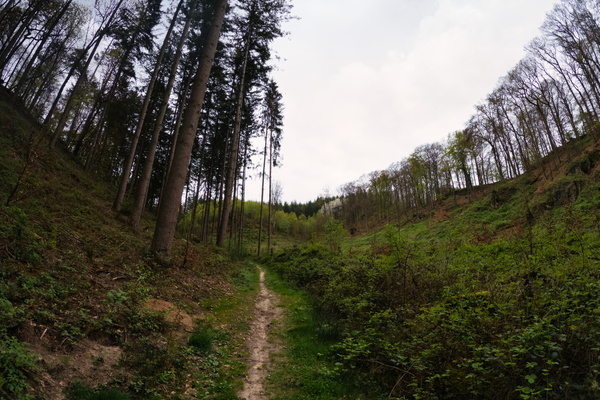 Path between Syren and Medingen