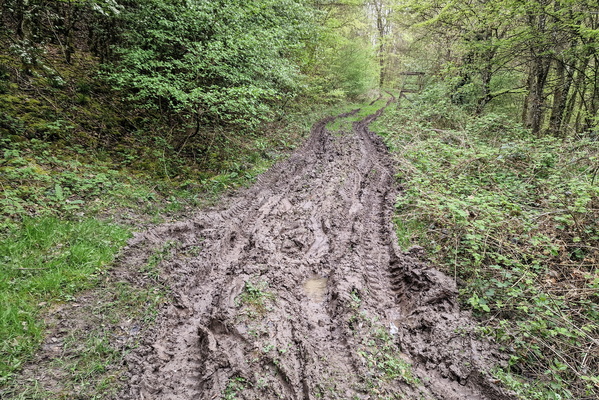 Muddy track