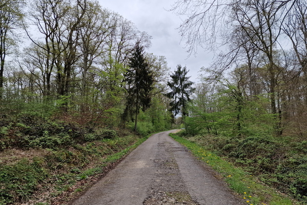 Paved track between Trintange and Pleitrange