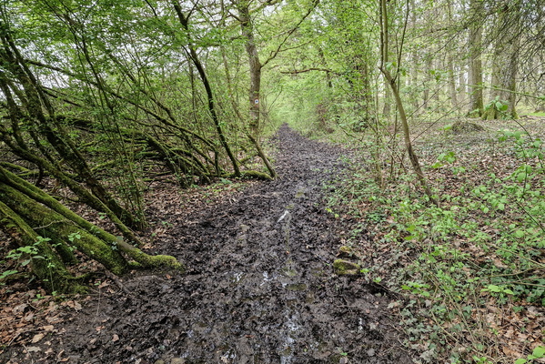 Muddy Autopédestre Schuttrange