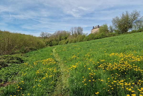 Path shortcut in Messancy