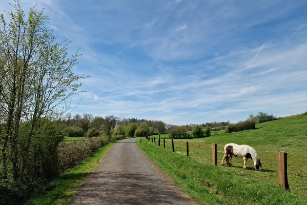 Bike route near Halanzy