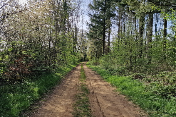 Bike route ner Meix-devant-Virton