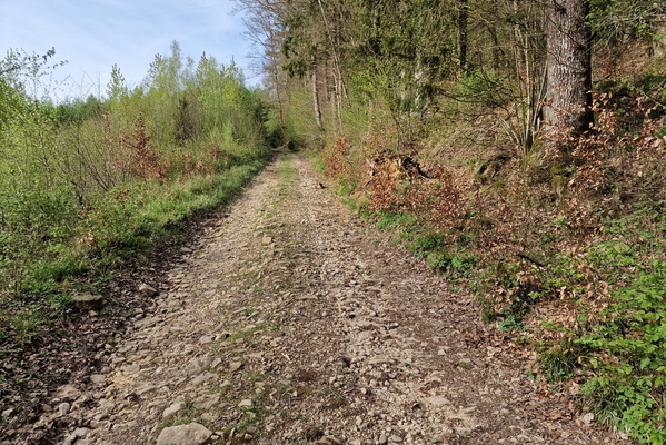 Rocky track