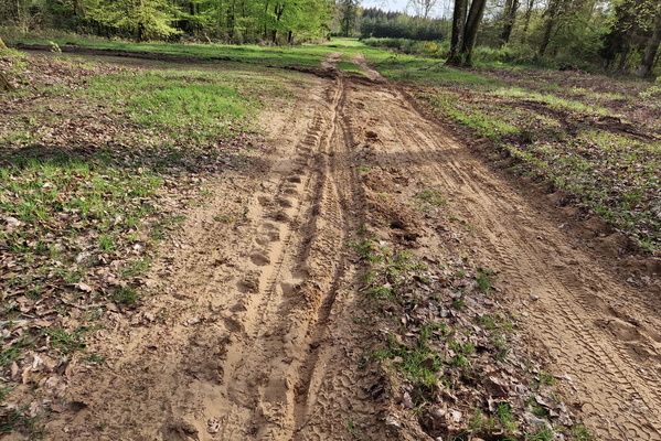 Sandy track
