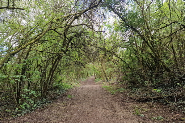 Track near Tétange