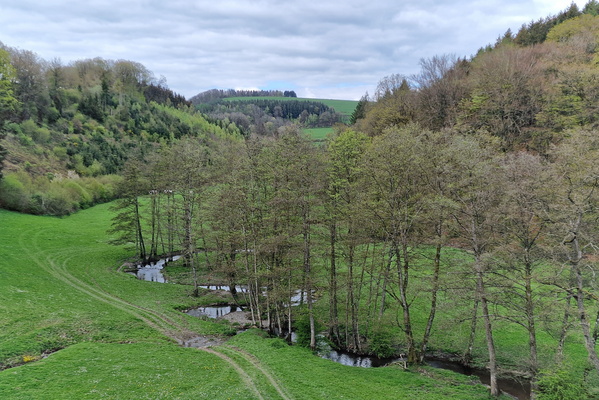 Valley near Petit-Nobressart