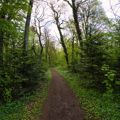 20240419_180003.jpg