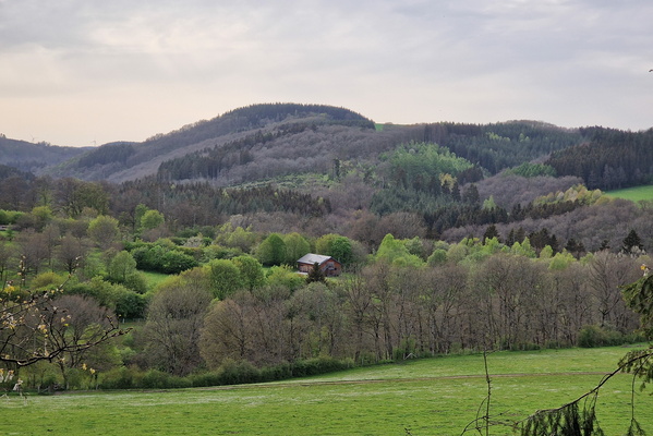 View near Misärshaff