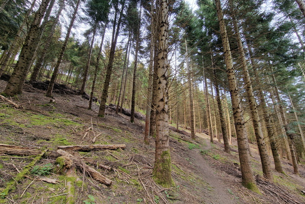 Steep path