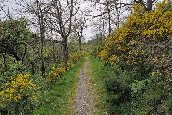 Path near Liefrange