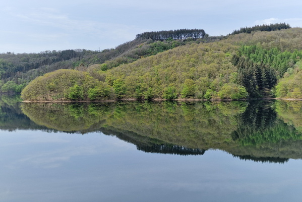 Reflections in the water