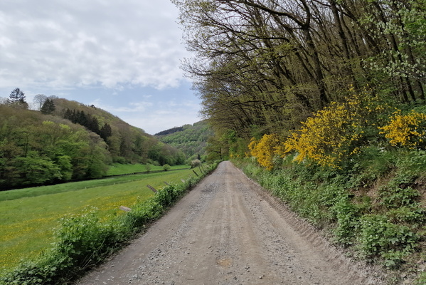 Track near Toodlermillen