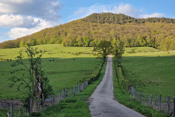 Way near Grundhof