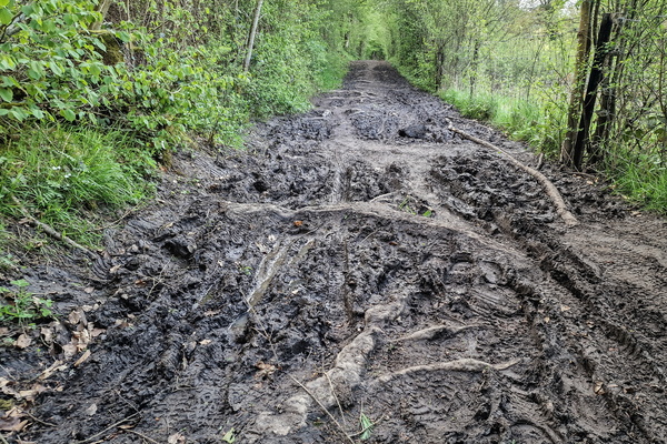 Dirty Mullerthal Trail Route 3