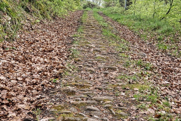 Bumpy track