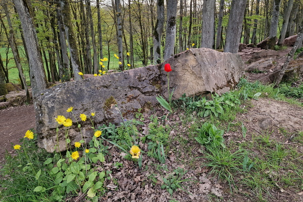 Stones and flowers near Warken