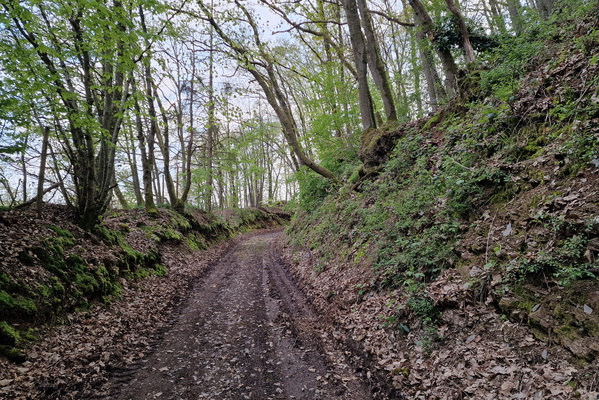 Track near Warken