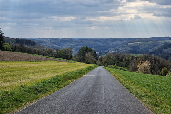 Country road between Dahl and Büderscheid
