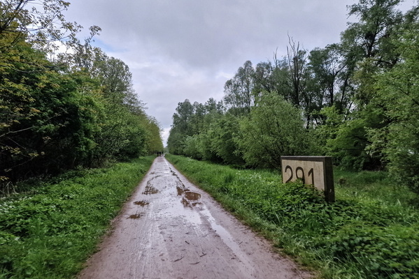 Wet track along the Rhine river