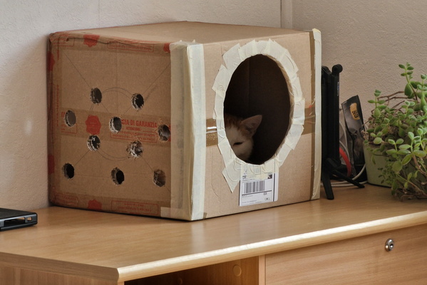 Timmy in a box